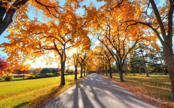 Herbstausfahrt – kreuz und quer durchs Waldviertel